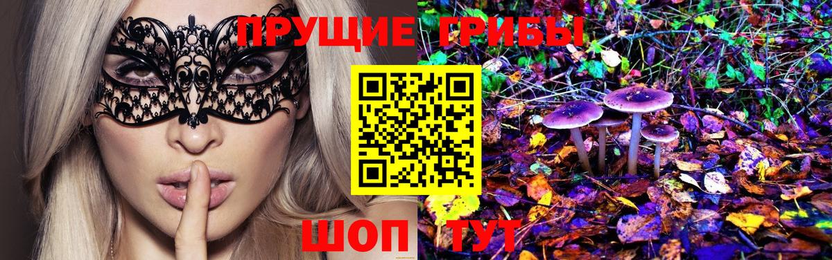 Галлюциногенные грибы Magic Shrooms Звенигород