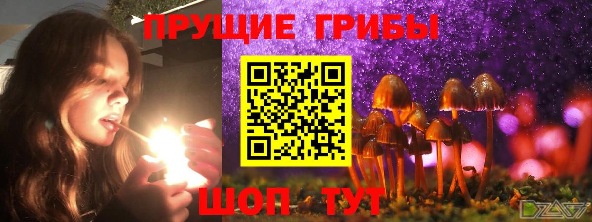 Галлюциногенные грибы мицелий  Галлюциногенные грибы Psilocybe  Вход с VPN  Звенигород 