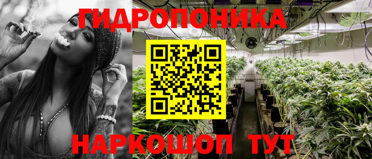 Шишки марихуана Amnesia Звенигород